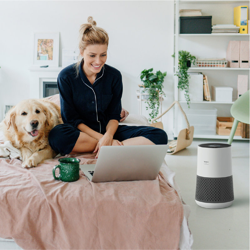 Winix A230 360 Degree All in One 4 Stage True HEPA Air Purifier with PlasmaWave Technology White Gray